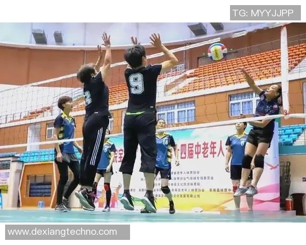 深圳排球队心理素质变革引发热议展现竞技体育新风貌