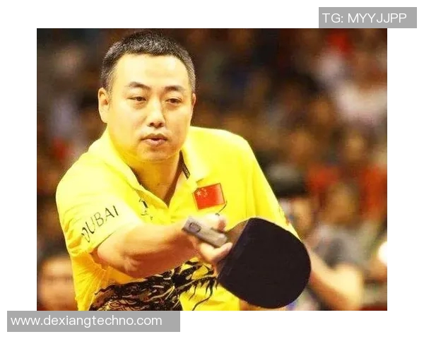 武汉乒乓球队意识对比深度解析与发展潜力探讨