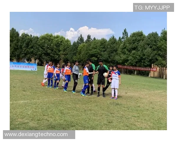 赵敏独家分享排球技巧与心得体会助你提升球技与团队配合能力