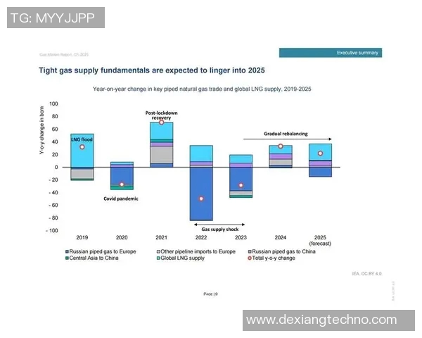 专业分析LNG市场的盯防策略与应对措施探讨