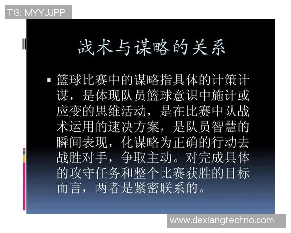 南京篮球队配合变革引发热议新战术如何改变球队未来发展方向