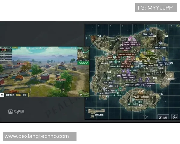 和平精英战术解析：深入探讨RNG战队的团队配合与战略布局