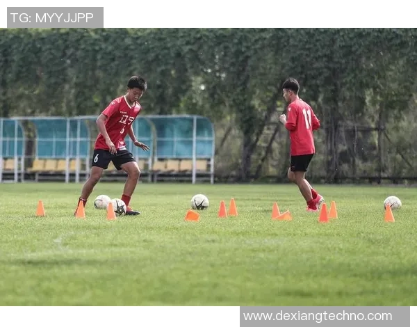 李强独家分享足球心得与技巧助你提升球技的秘密大揭秘