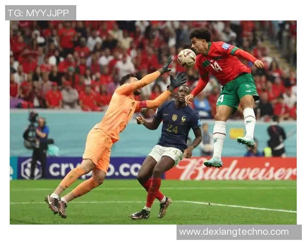 法国与阿根廷精彩对决全场回放回顾与分析