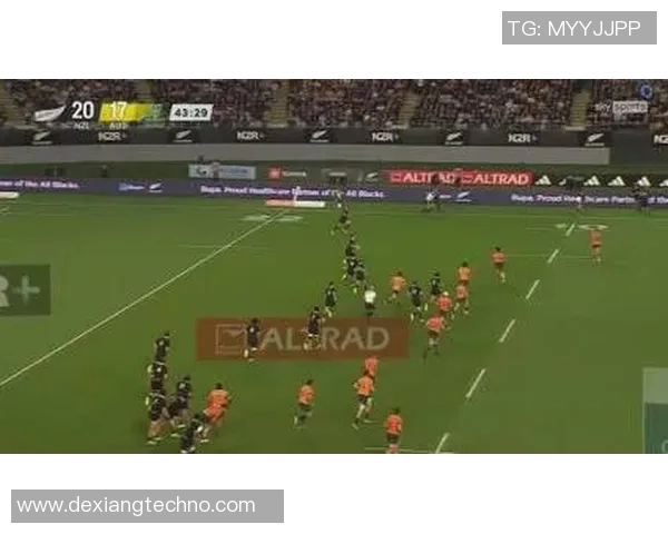 南非与新西兰橄榄球对决精彩回顾与战术分析