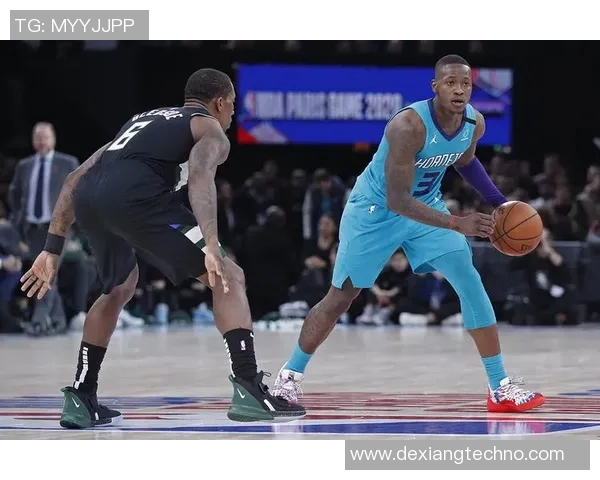 特里罗齐尔的篮球之路与成长历程探讨